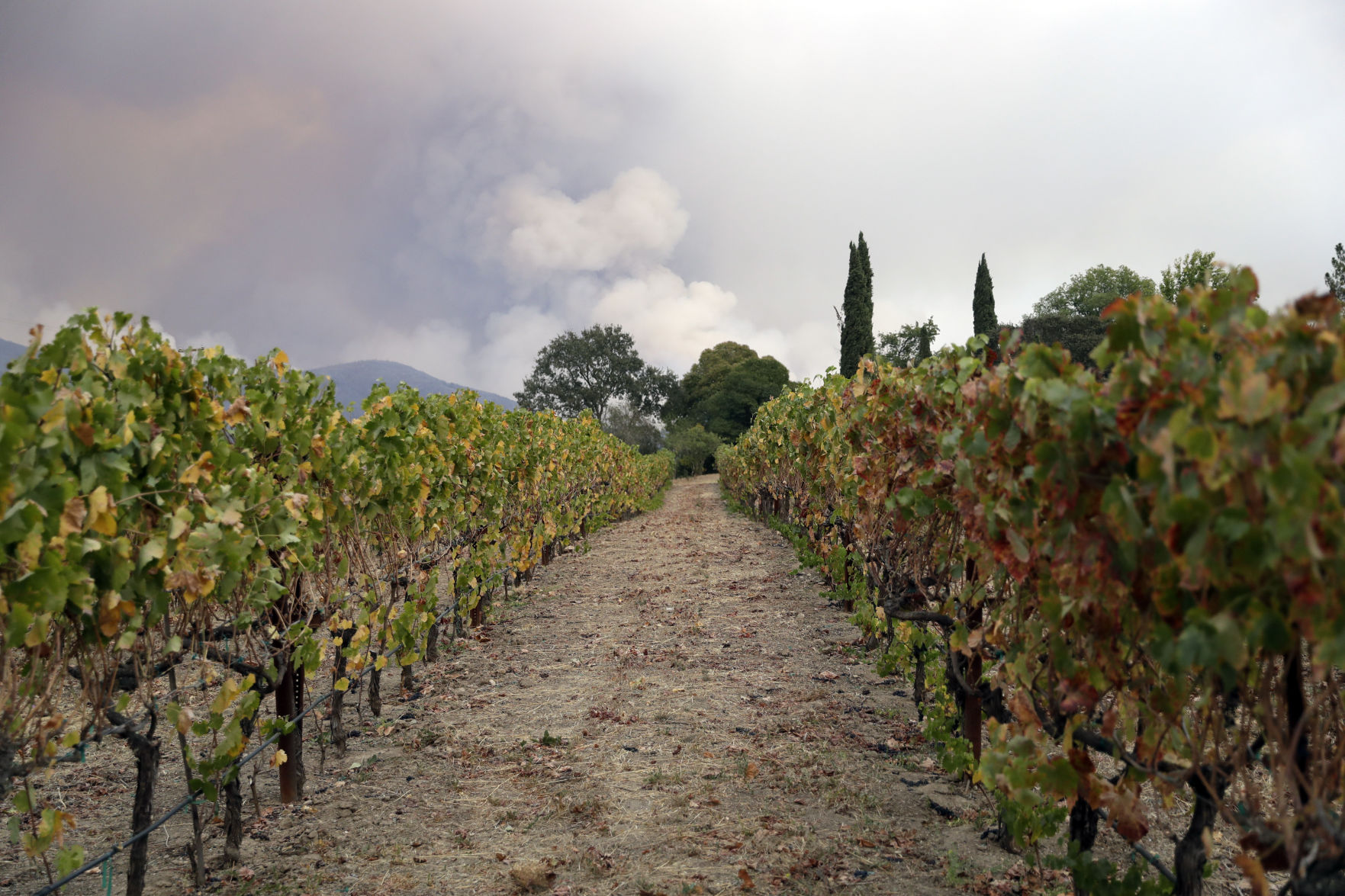 California Wildfires